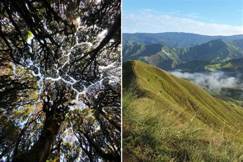 15 Best BUKIDNON TOURIST SPOTS .